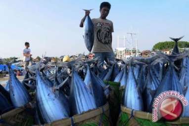 Harga di Nelayan Rendah, KKP Rombak Proses Lelang Ikan